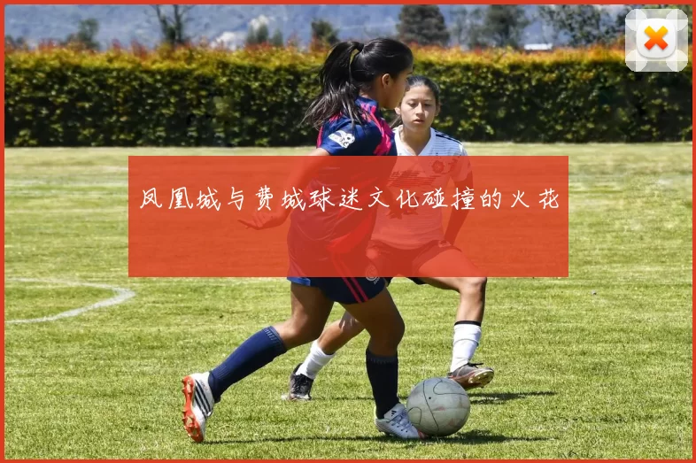 凤凰城与费城球迷文化碰撞的火花