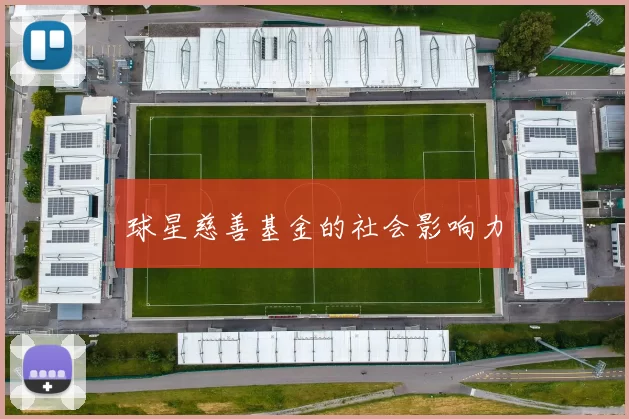 球星慈善基金的社会影响力