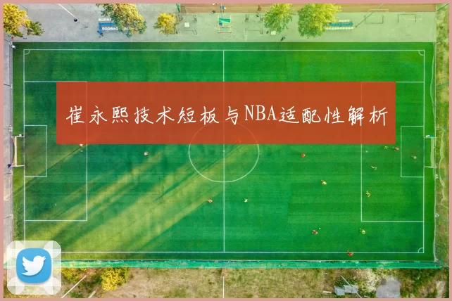 崔永熙技术短板与NBA适配性解析