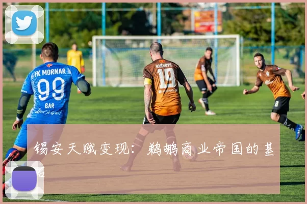 锡安天赋变现：鹈鹕商业帝国的基石