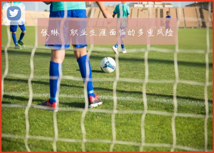 张琳芃职业生涯面临的多重风险