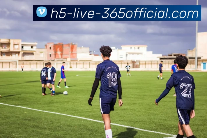 beat365网站服务体系